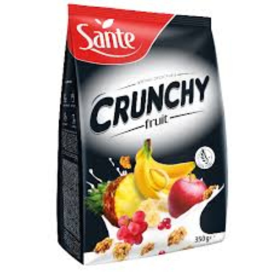SANTE CRUNCHY OAT FLAKES FRUIT 350G